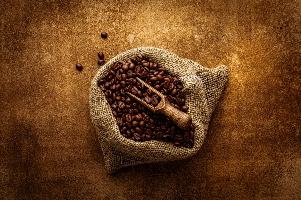 Café en grains — mélange maison 250g